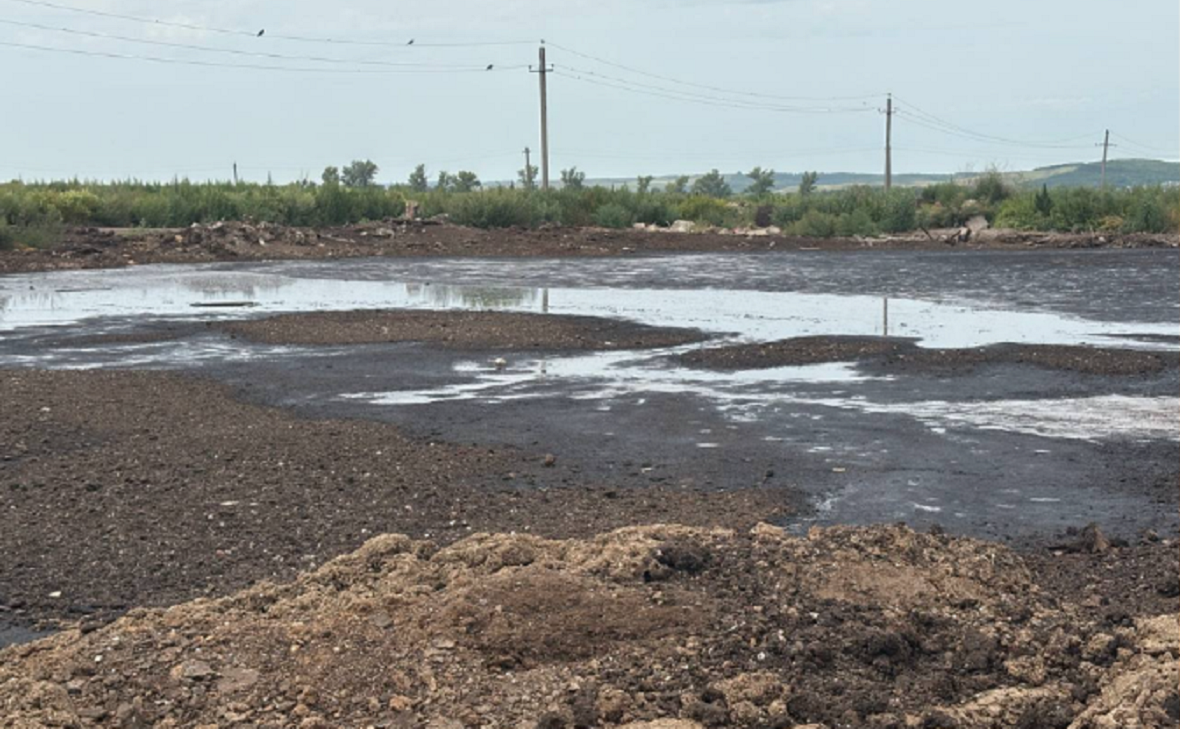 Россельхознадзор