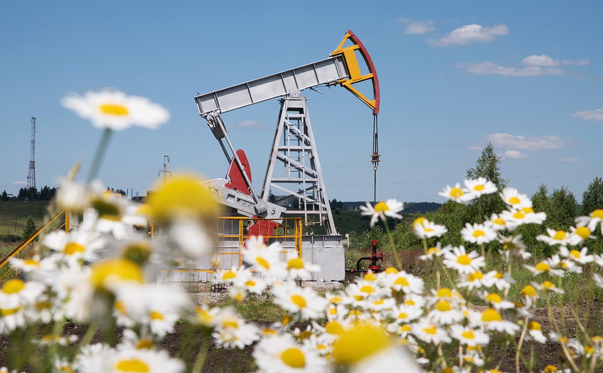 Семь стран ОПЕК+ согласовали увеличение добычи нефти в июле
