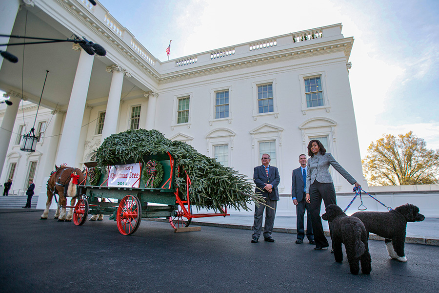 Мишель Обама, жена 44-го президента США Барака Обамы, принимает главную рождественскую ель для Белого дома в 2015 году. Темой была выбрана &laquo;Вечная традиция&raquo;