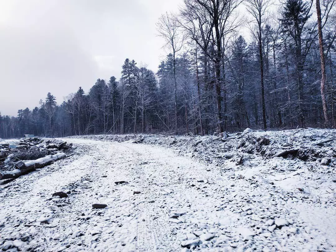 РБК Приморье