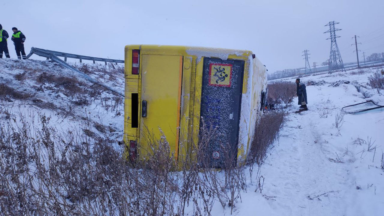 Фото: Госавтоинспекция Новосибирской области