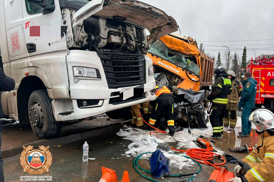 Фото: V_Sevastyanov / Telegram