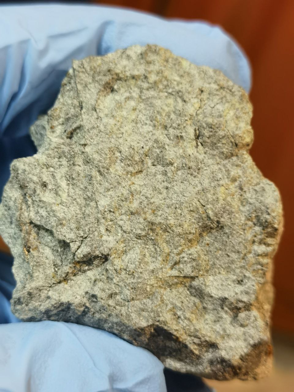 Фото: Константин Рязанцев / ГЕОХИ РАН