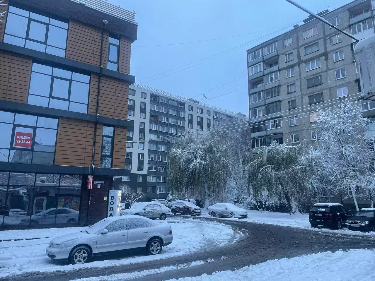 Марина Маркевич