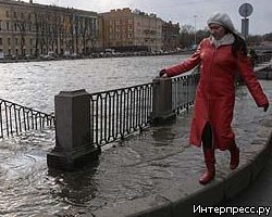 Последствия наводнения: Петербург подсчитывает убытки