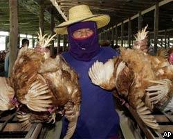 NK:Япония ввела запрет на импорт мяса птицы из США