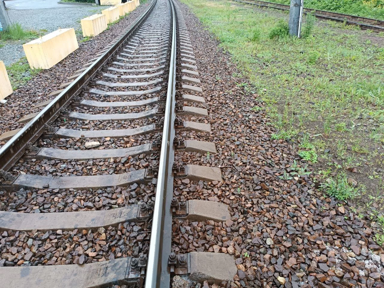 РБК Приморье