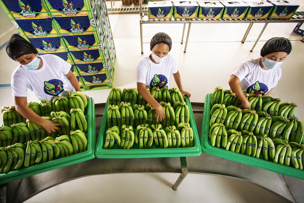 Фото: frutadeli.com