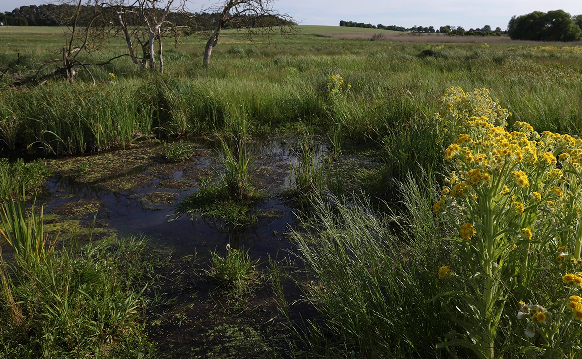 Sean Gallup / Getty Images