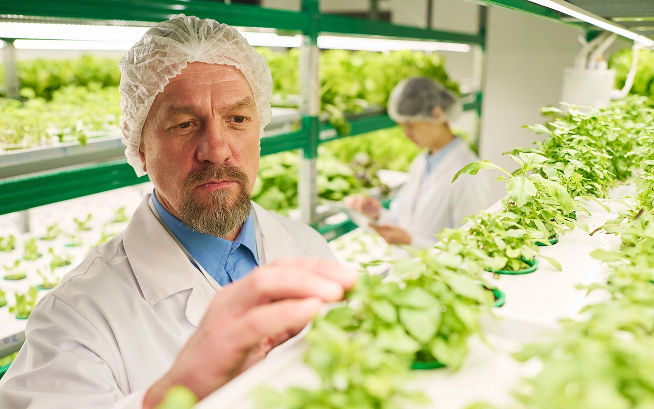 Здесь потребуются серьезные агрономические знания и технологическая экспертиза