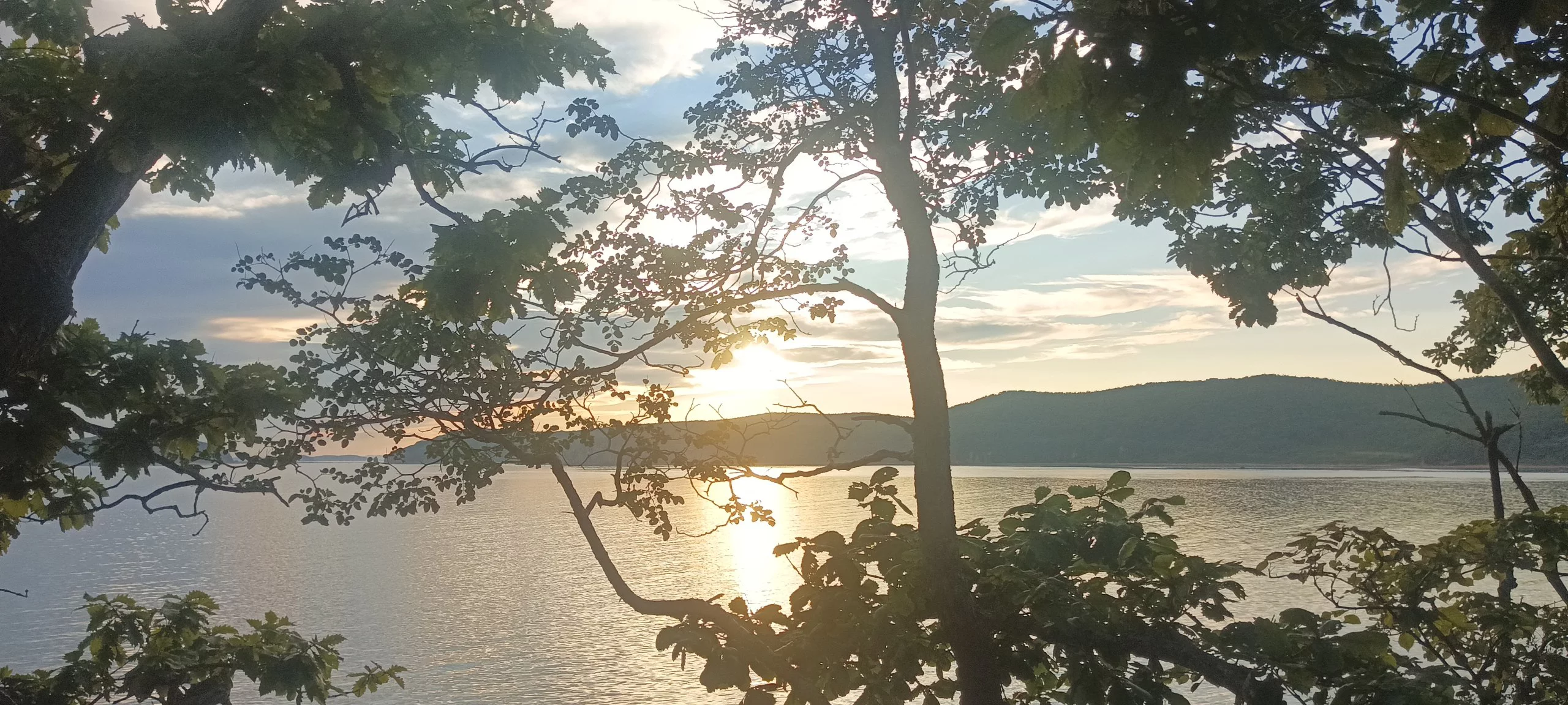 РБК Приморье