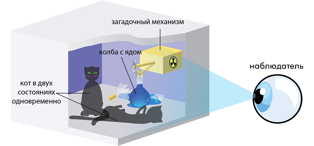 Кот Шредингера в закрытом ящике в ожидании своей участи