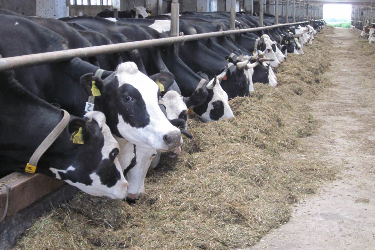 Правительство Вологодской области