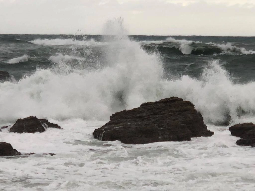 РБК Приморье