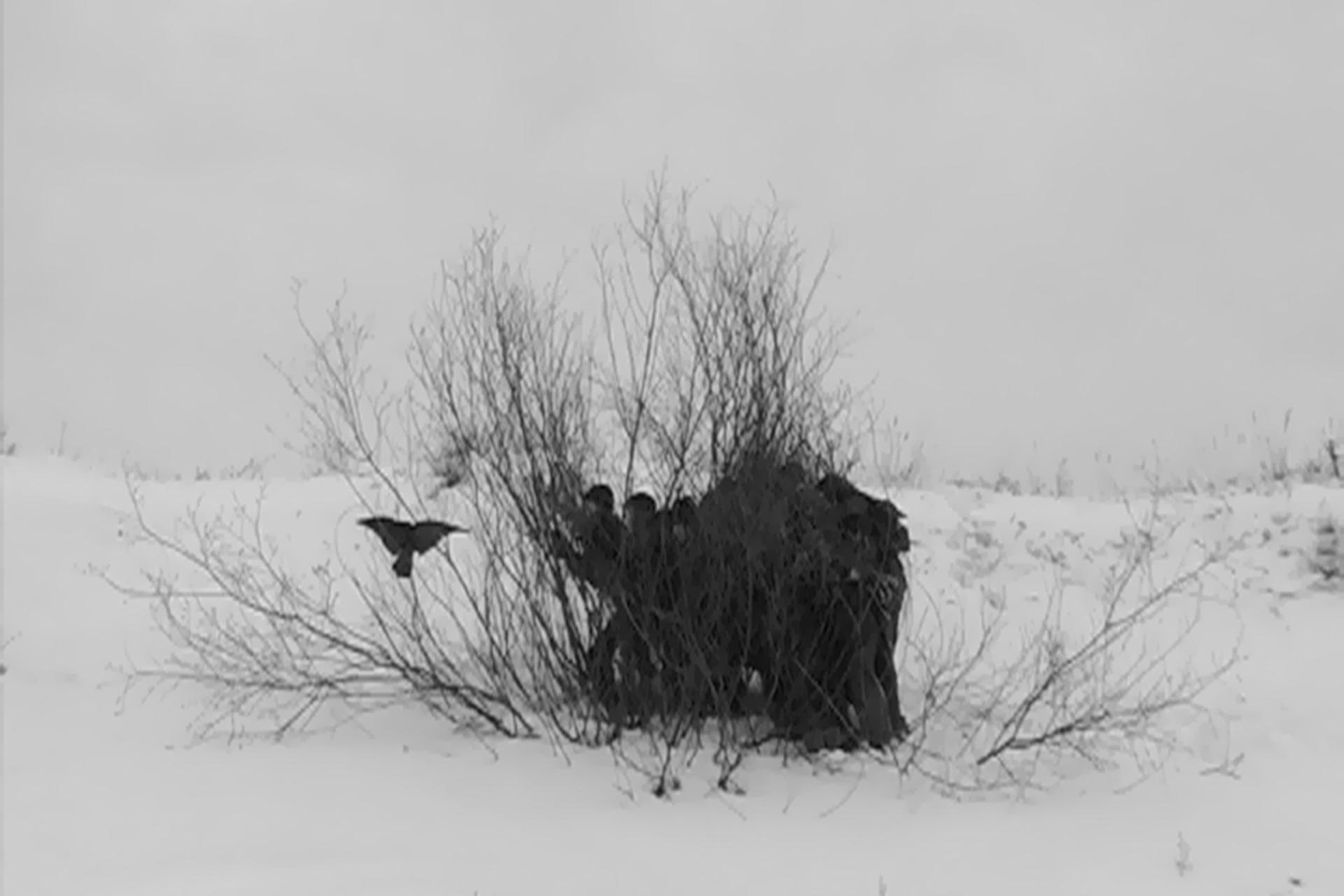 «Провмыза», «Отчаяние» (видео), 2008