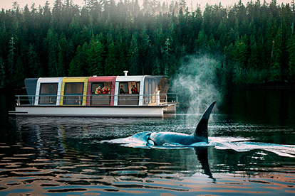 Фото: behance.net/good_de_max