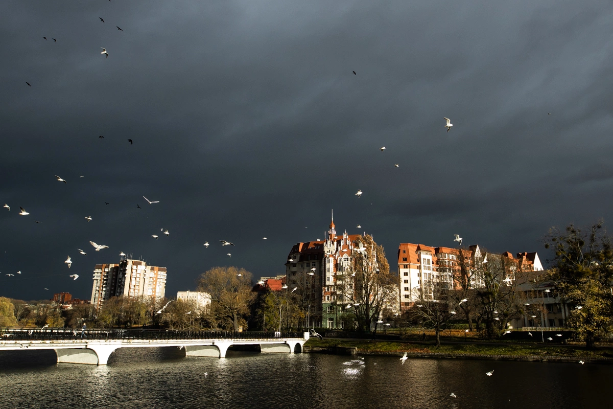 Александр Подгорчук
