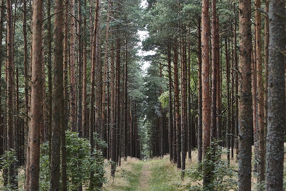 архив РБК Калининград