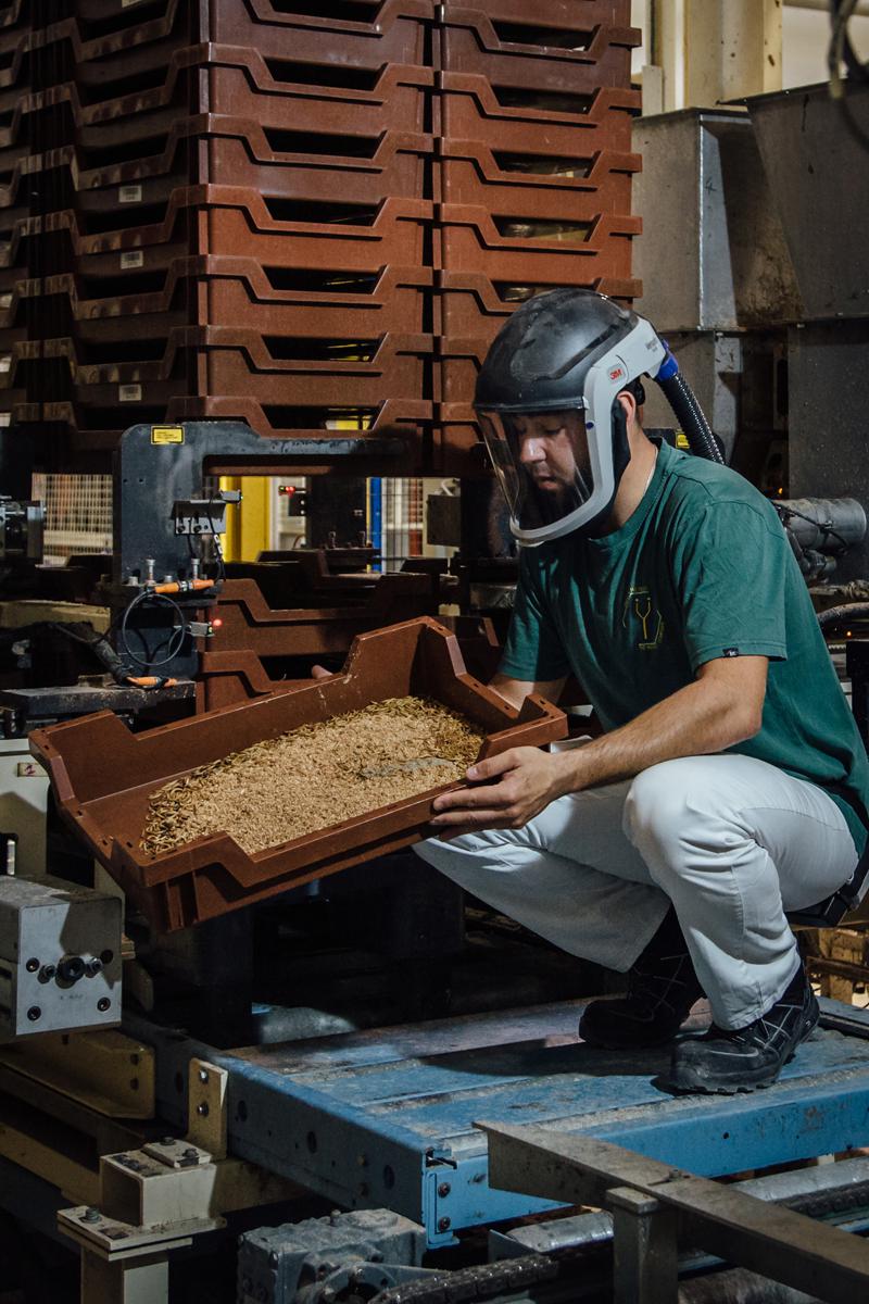Сотрудник&nbsp;Ynsect держит ящик с личинками в зоне кормления на ферме насекомых.&nbsp;Доль,&nbsp;Франция,&nbsp;2020