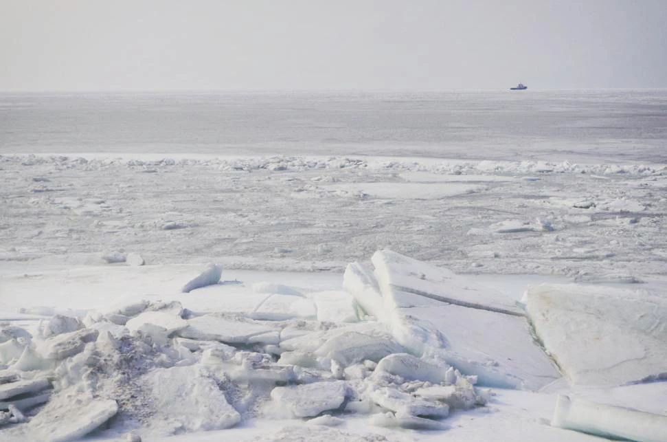 РБК Приморье