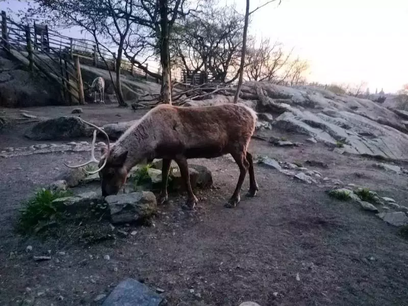 РБК Приморье