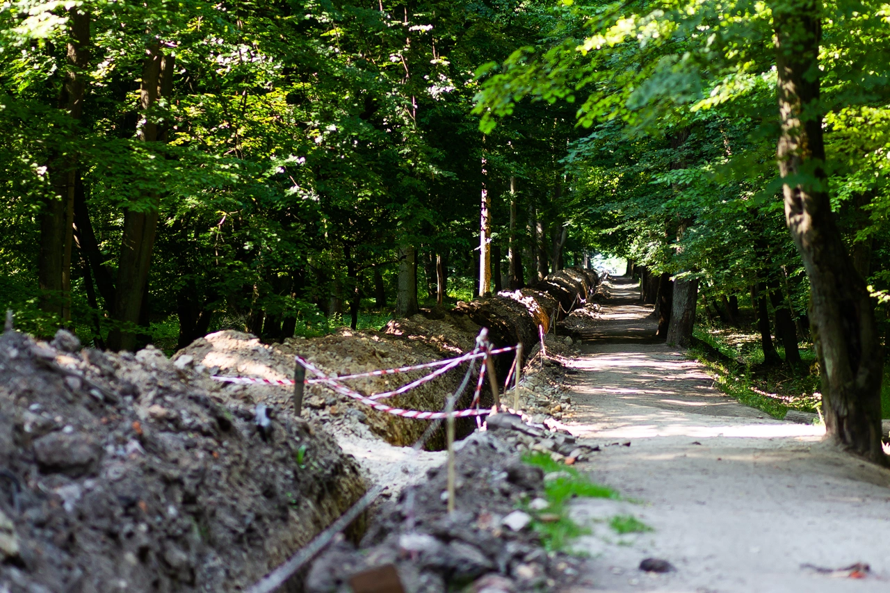 Александр Подгорчук