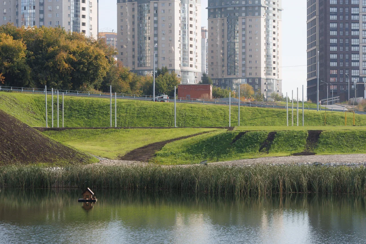 Фото: Брусника