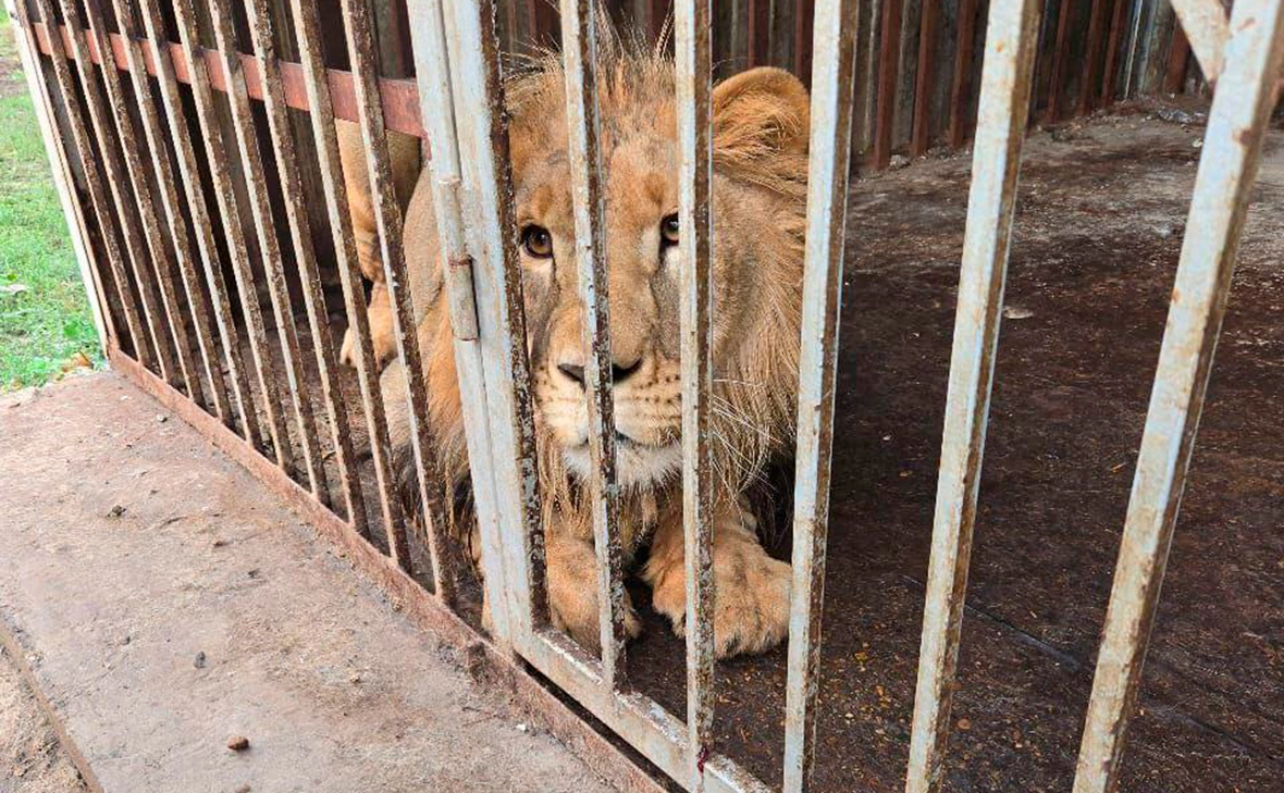 Росприроднадзор