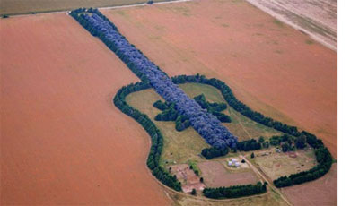 Рукотворный лес в пампасах в форме гитары (ФОТО)
