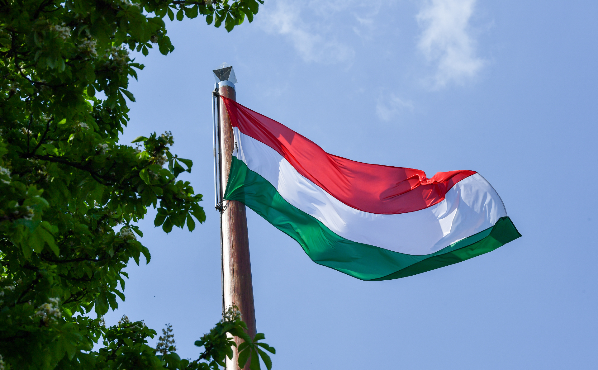 Венгрия против россии. Венгрия флаг Орбан. Флаг Венгрии в Закарпатье. Венгрия и Россия Дружба. Россия Венгрия флаги.