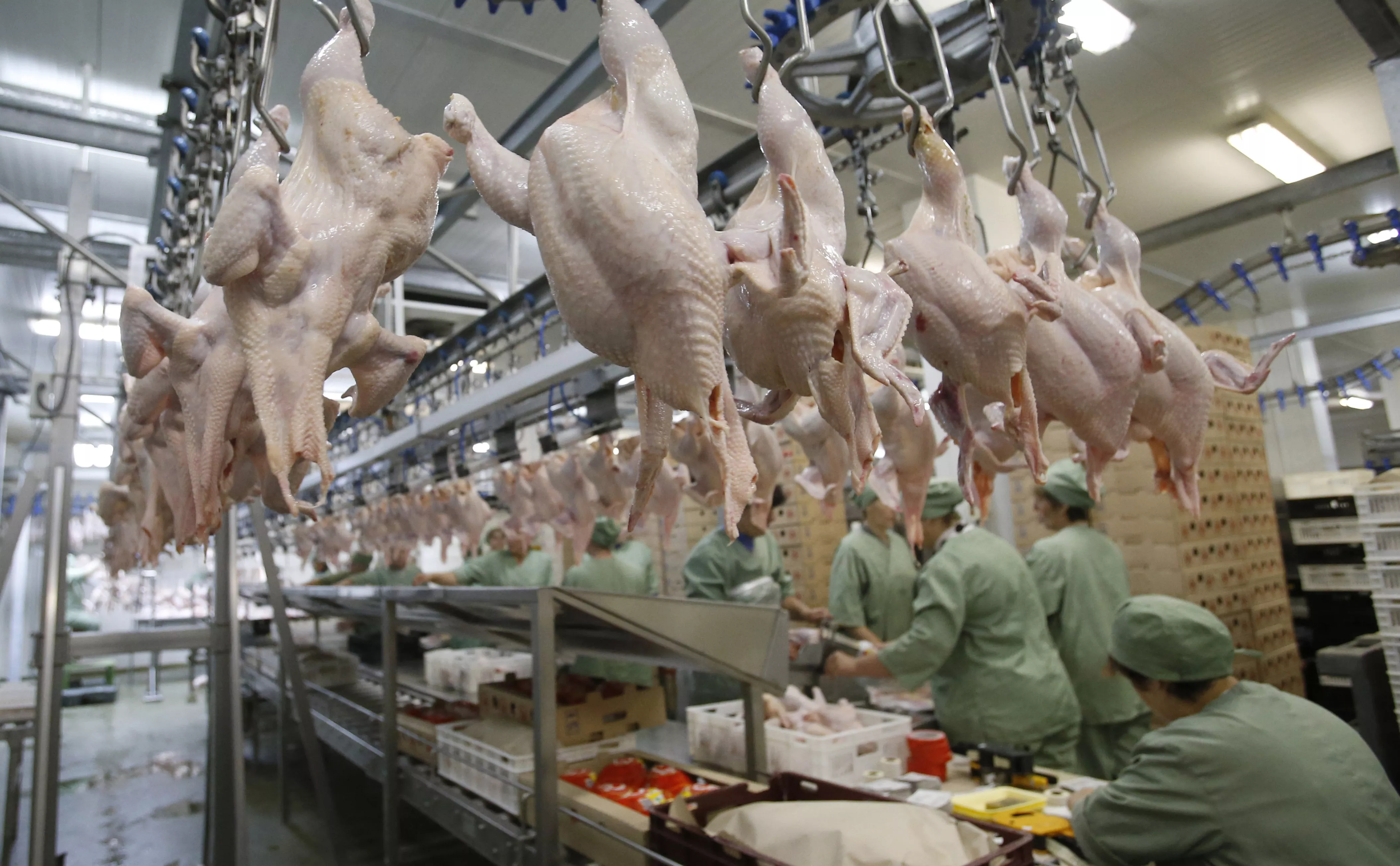 Егор Еремов / РИА Новости