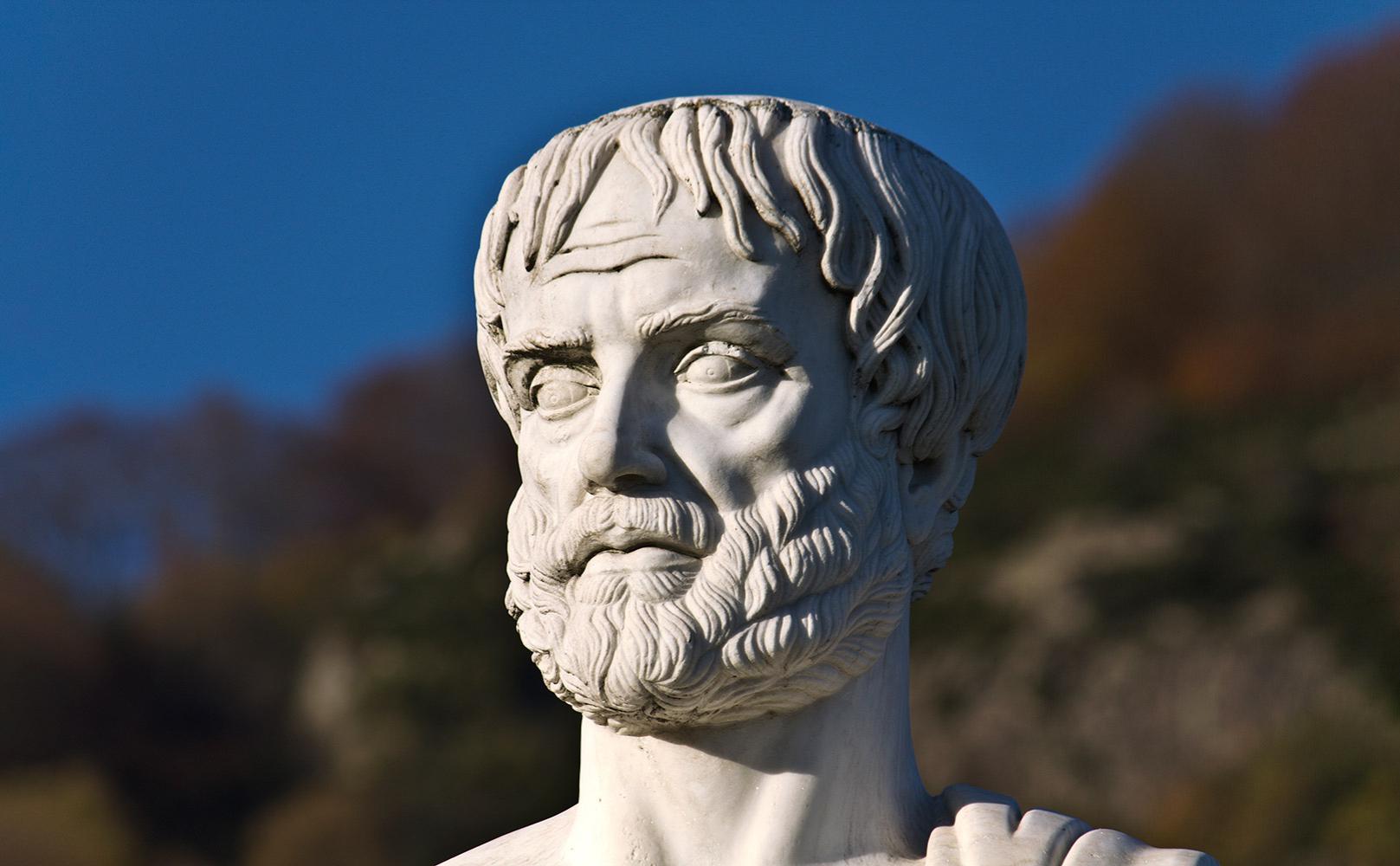 Системный подход Аристотеля: зачем его сегодня применять предпринимателю ::  РБК Pro