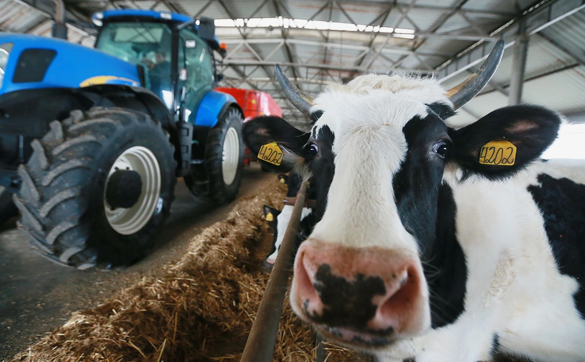 Владимир Смирнов / ТАСС