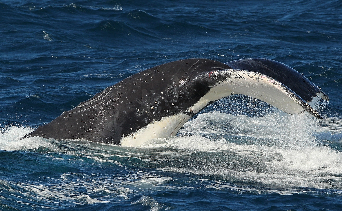 Cameron Spencer / Getty Images