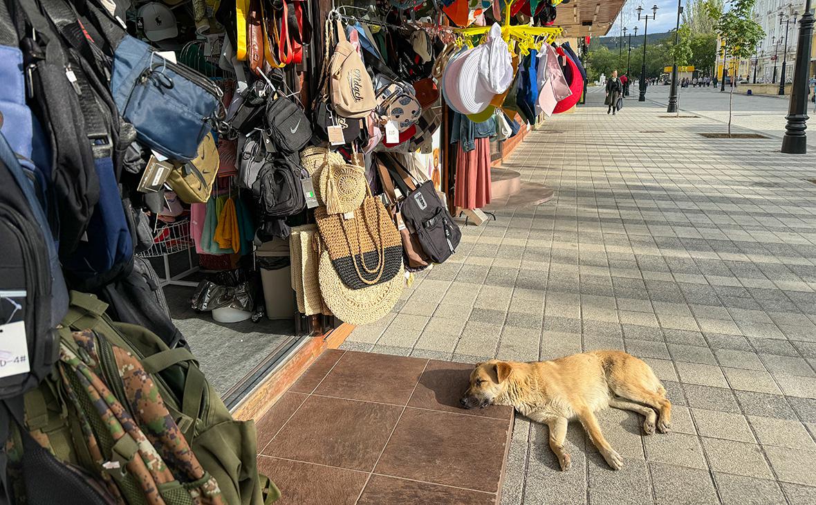 Фото:Сергей Петров / news.ru / Global Look Press