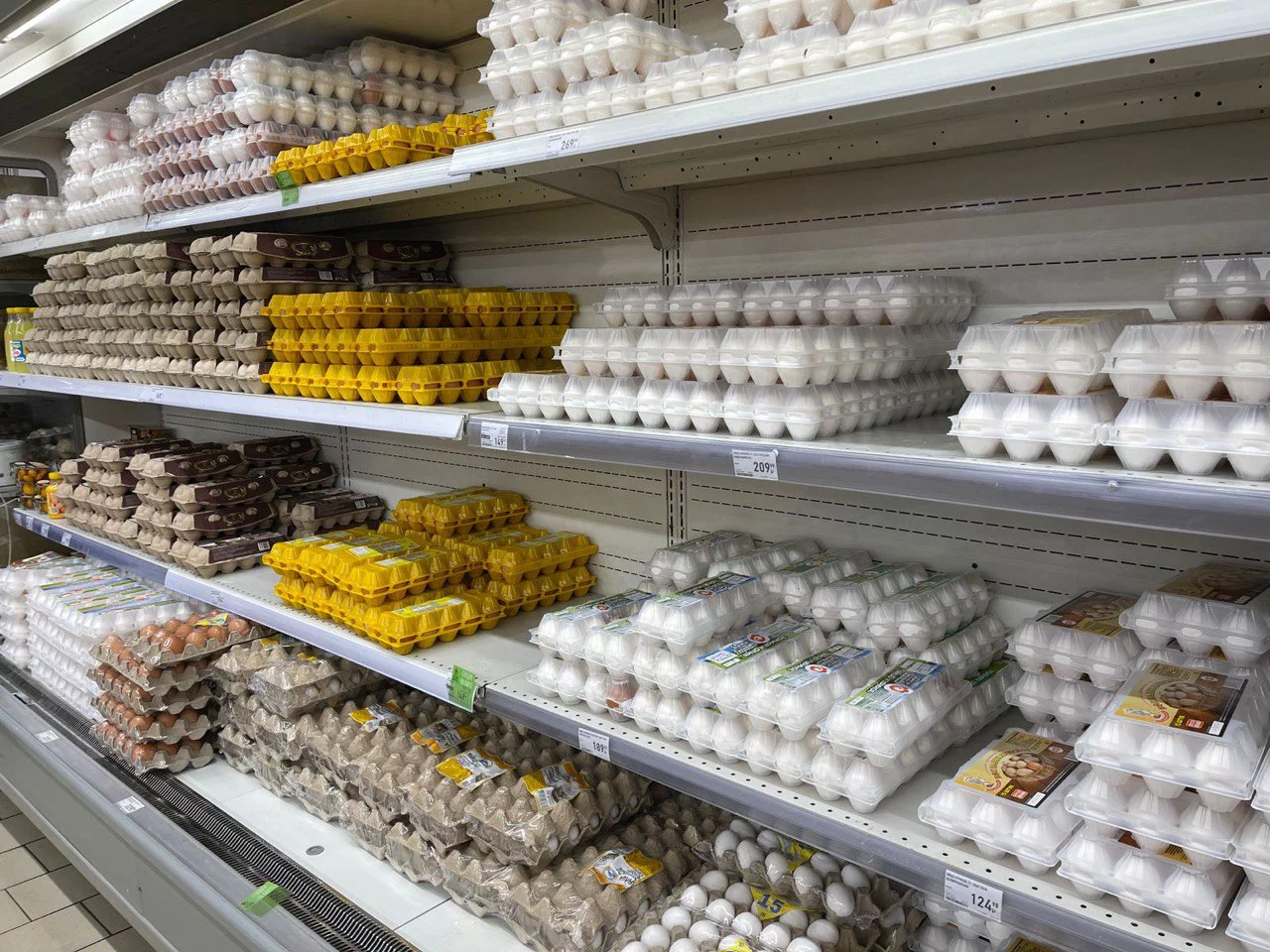 РБК Приморье