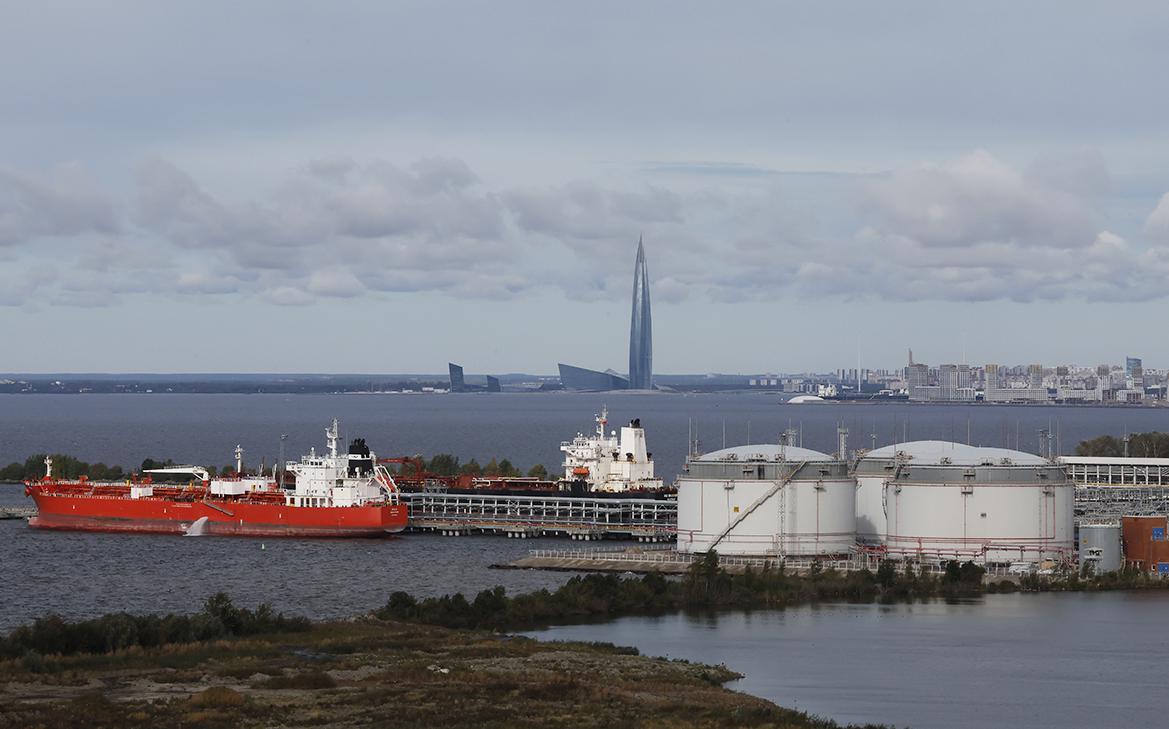 Фото: Анатолий Мальцев / EPA / ТАСС