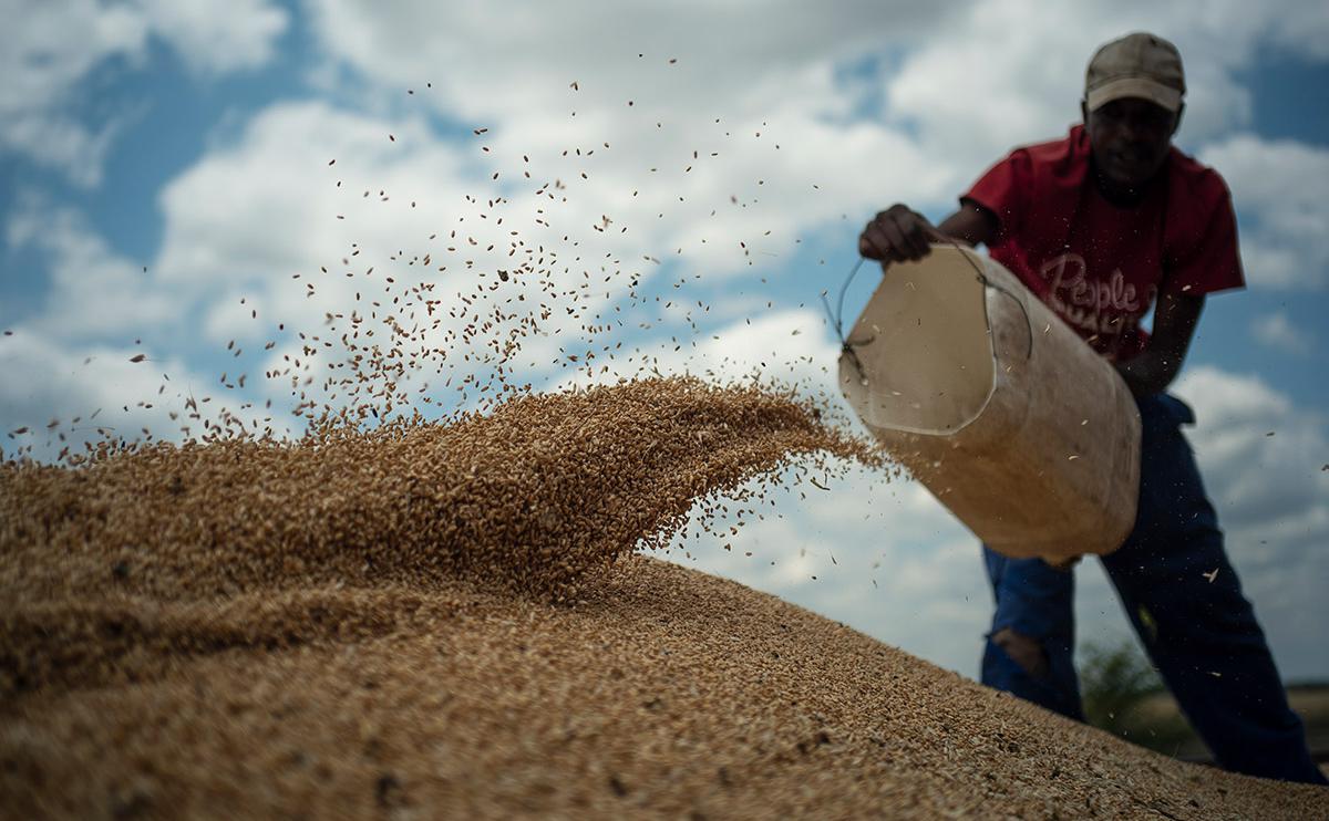 Фото:  KB Mpofu / Getty Images