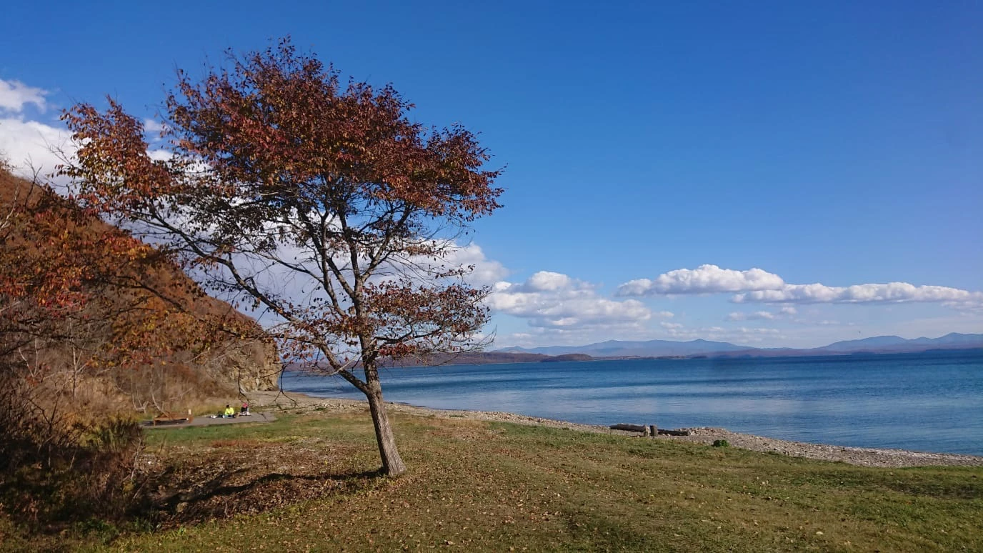 РБК Приморье