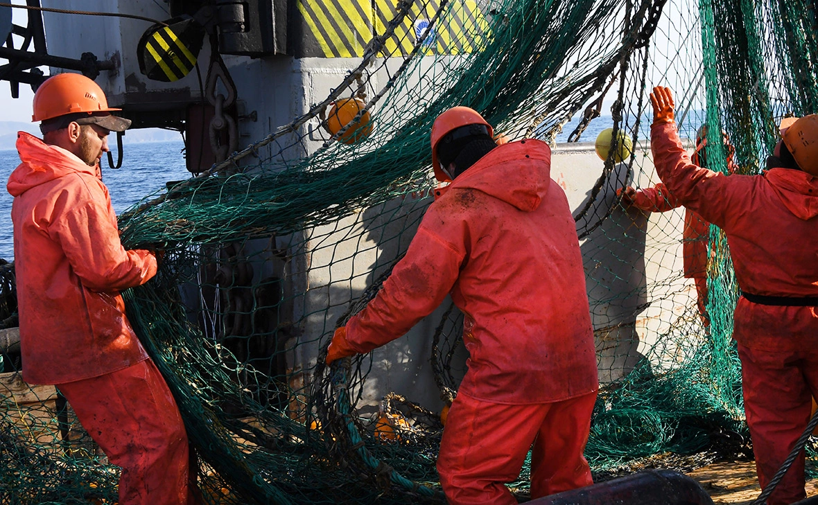 Виталий Аньков / РИА Новости