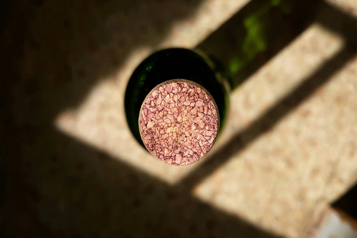 Россияне более склонны покупать вино к праздникам, в подарок или в гости в специализированных магазинах или супермаркетах, а в повседневных ситуациях исходят из того, какая точка ближе