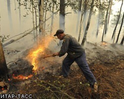Количество очагов лесных пожаров в Сибири снизилось до 57