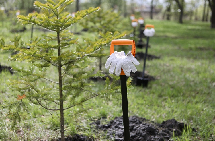 Правительство Приморского края