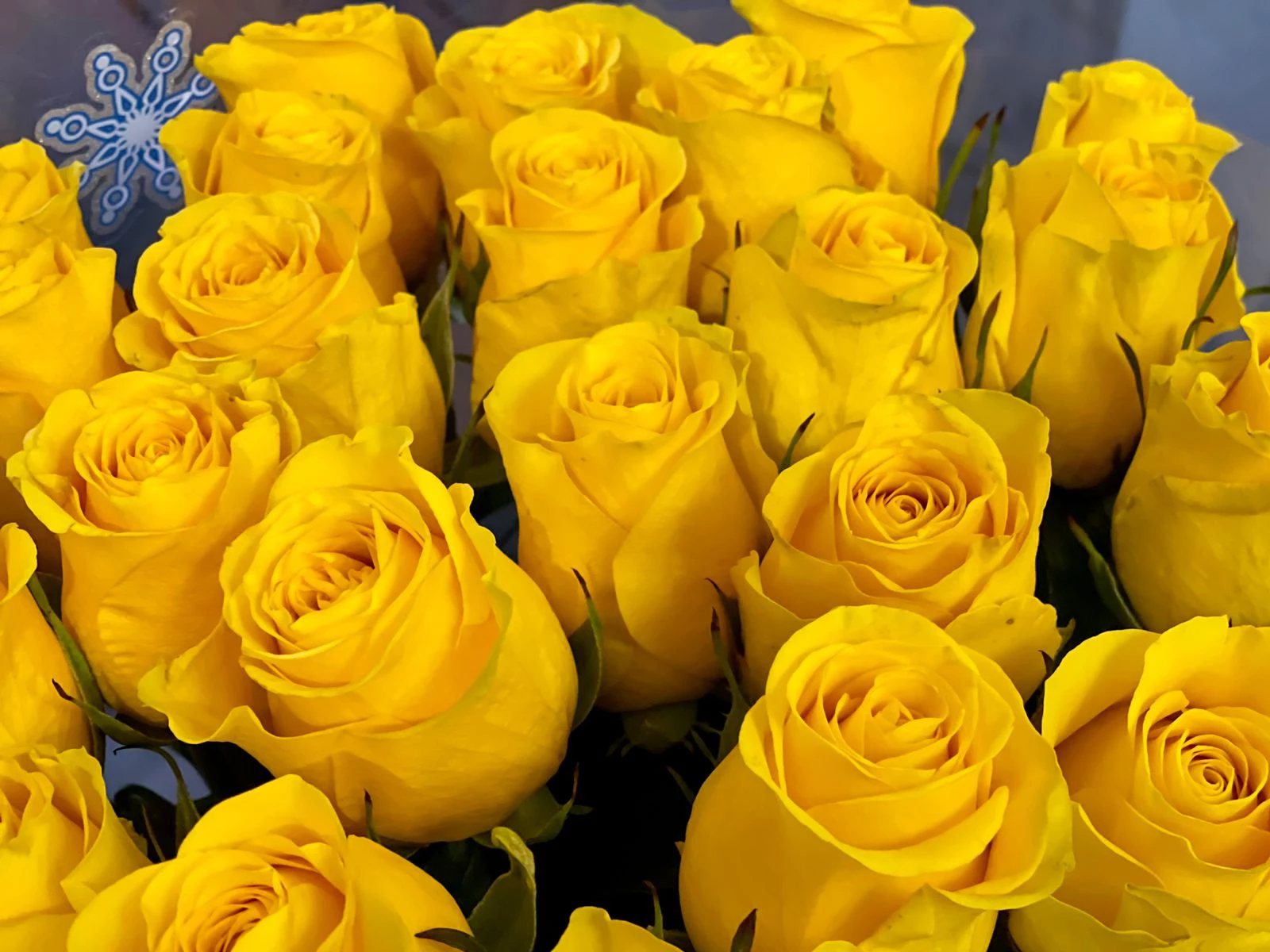 РБК Приморье