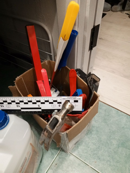 Фото: УТ МВД по Северо-Западному федеральному округу