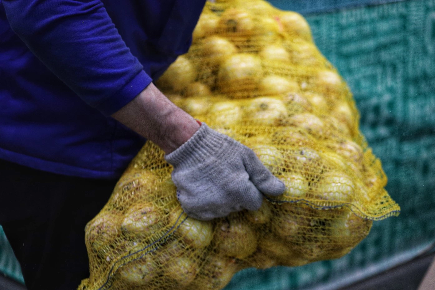 Екатерина Сычкова / URA.RU