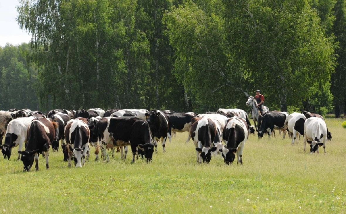 Минсельхоз РБ