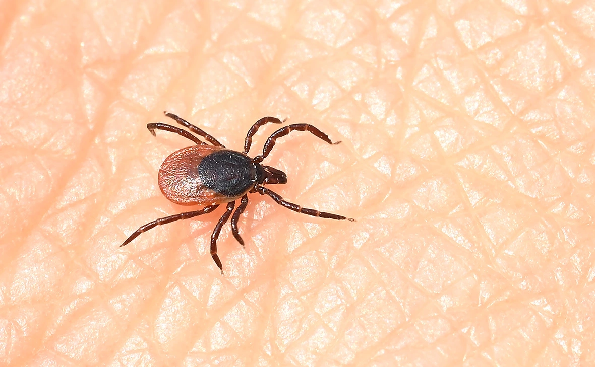 Bernd Weissbrod / Dpa / ТАСС