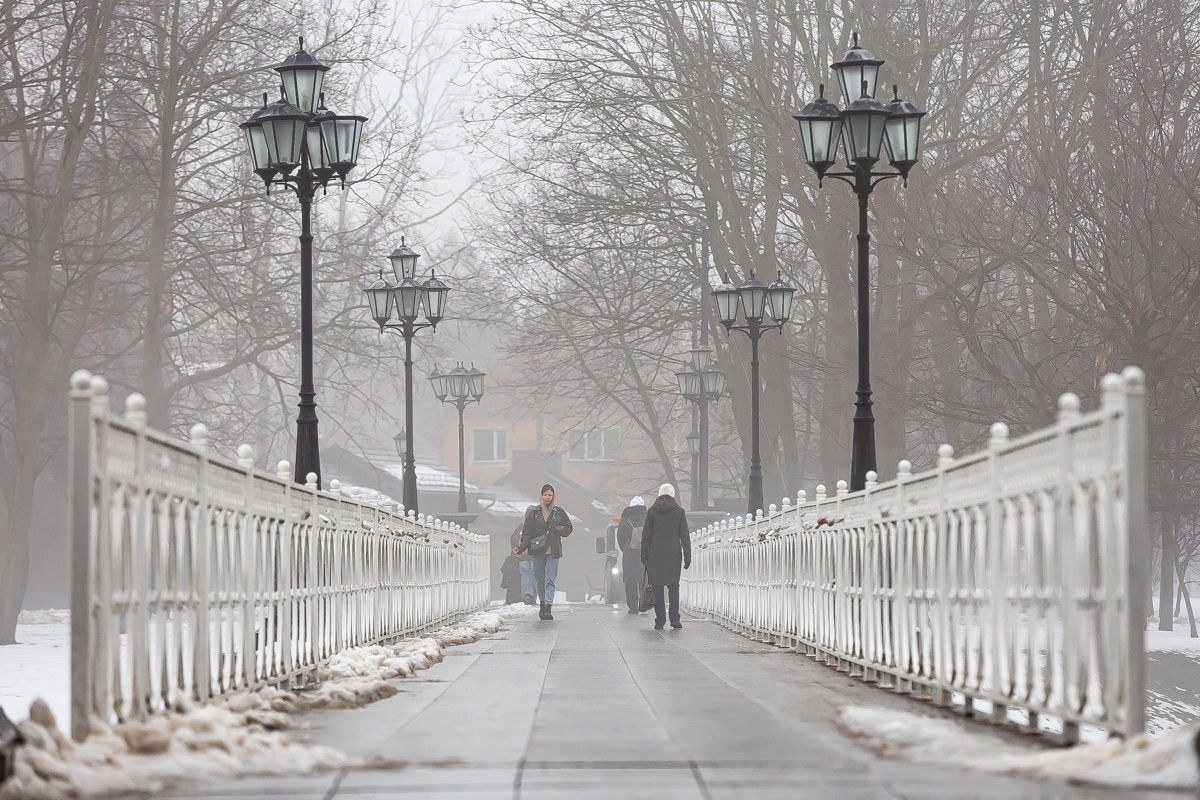 Александр Подгорчук