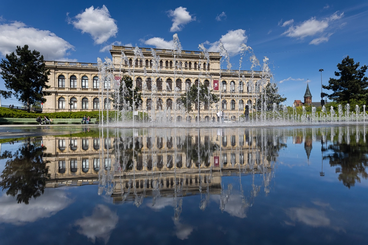 Александр Подгорчук